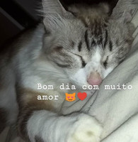 Geize Queiroz