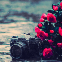 Phạm Nguyễn Quỳnh Như