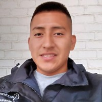 Diego Alonso Villafuerte Garcia Logística Internacional - Adex