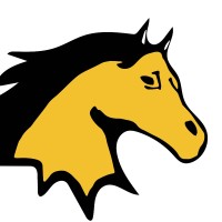 Yellow Horse Media