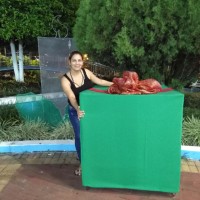 Melitza Antonia Ramirez Zambrano