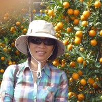 DUONG THI GIANG HUONG