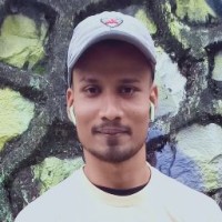 digital india