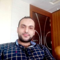 walid elsayed