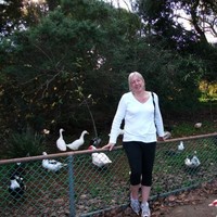 Lyall Mccarthy