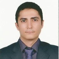 Yasser Abd Elfatah Farrag