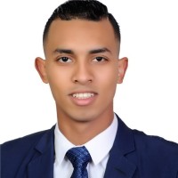 Ahmed Amer