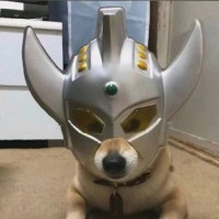石振宏