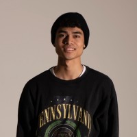 Vaifoa Lam Sam
