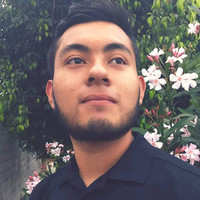 PEDRO ADRIAN
