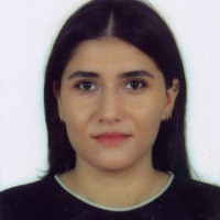 Gizem Özer