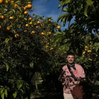 Tore Van den Bossche