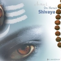 Nishant Vyas