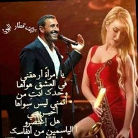 ابن الشام