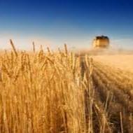 AGROCOOP .IN