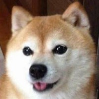 Pupper Kun