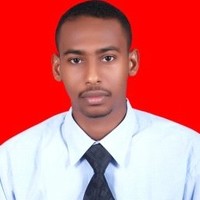 Mahmoud Elrayah, Pmp, Pmi-Rmp, Mba