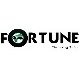 Fortune Group Consultants