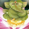 Subhasis Porey