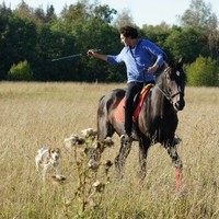 Александр Гогуадзе