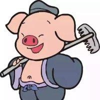 王政权