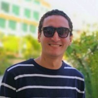 Hamed Mohamed Hamed