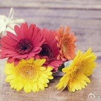 李灵枝