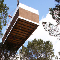 Pedro MIguel Freire Bicho