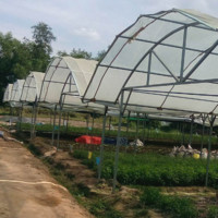 ့ႊHtoo Tint Tun Naing