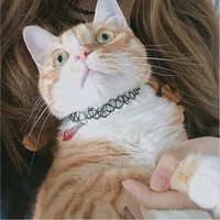 孔德天