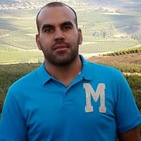 Ali Mouzannar