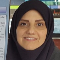 Simin Fareghi Naeini