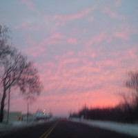 Candy Woods-Raymor