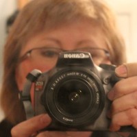 Donna Lach