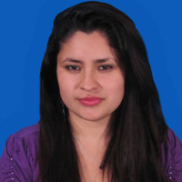 Diana Marcela Hernandez Pulido