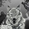 Echo The wolf