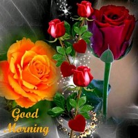 Badal Singh