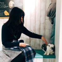 Konomi Okemoto