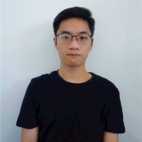 Quoc Cuong Nguyen