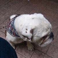 Adrian Cervantes Rivera