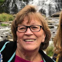 Dyann Curtis