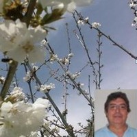 Benito Pérez