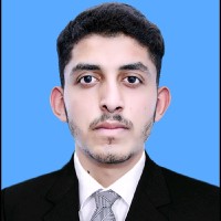 Waleed Tariq Malik