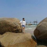 张志维