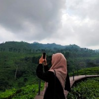 Mareta Dwi Lestari