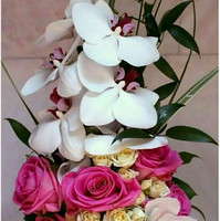 Amit Prakash