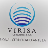 Virisa Consultores S.A.S