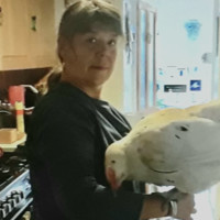 Sue Fisher