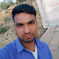 Golu Pal