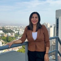 Danitza Diana Sosa Porlles